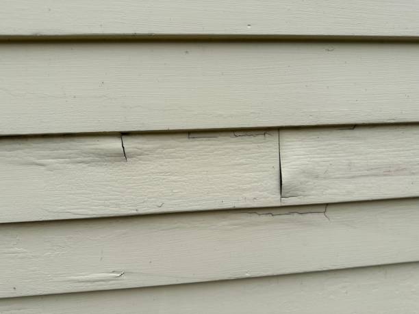 Professional Siding in Northbrook, OH